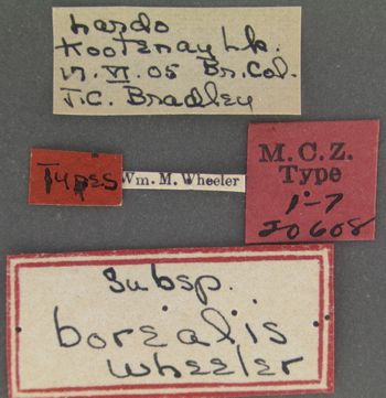 Media type: image; Entomology 20608   Aspect: labels